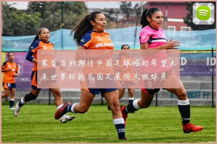 蒙哥马利期待中国足球崛起希望未来世界杯能见国足展现天赋球员